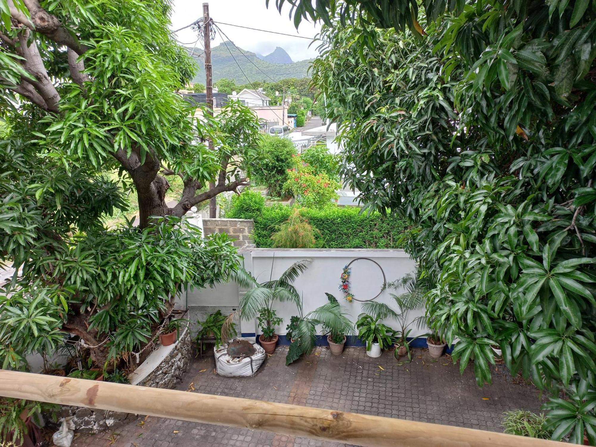 Open Air Cafe & Apartments Порт-Луи Номер фото